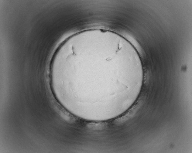 X0000101391051200808041012