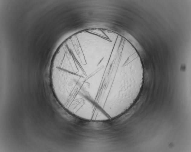 X0000101391052200808041012