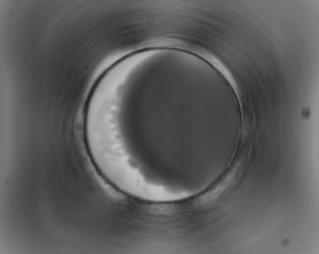 X0000101391053200808041012