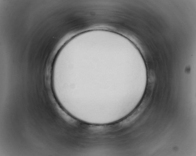 X0000101391054200808041012