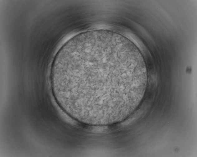 X0000101391055200808041012