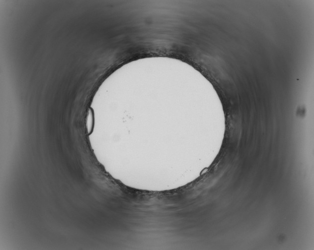 X0000101391057200808041012