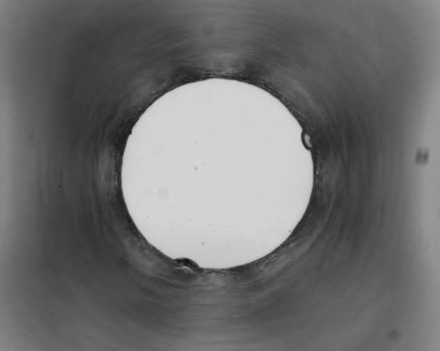 X0000101391058200808041012