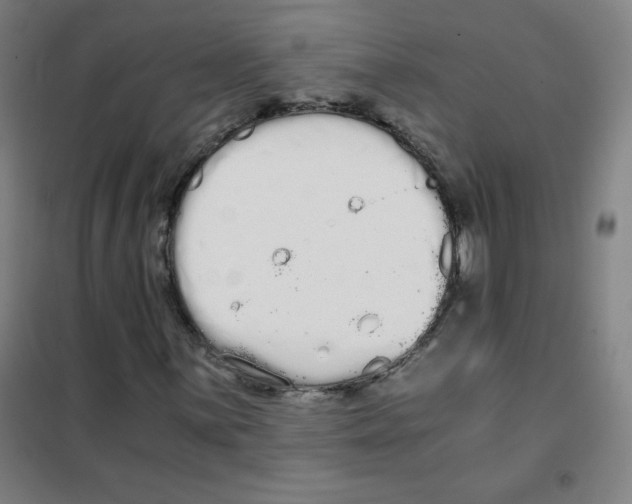 X0000101391059200808041012