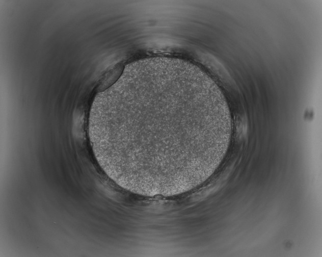 X0000101391060200808041012