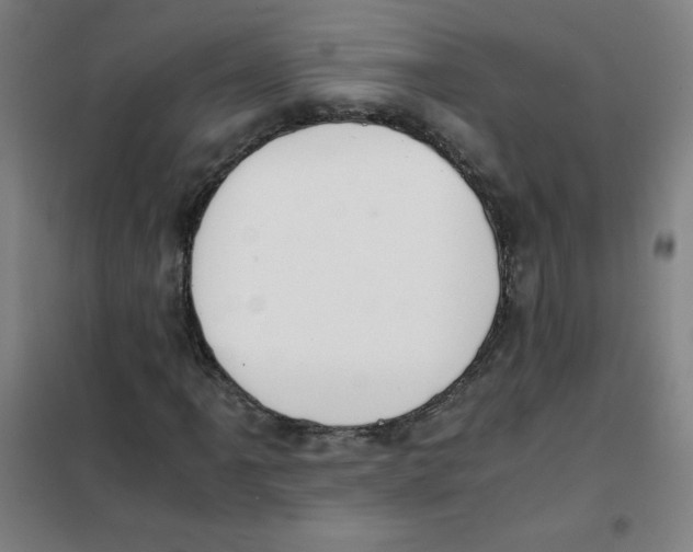 X0000101391061200808041012
