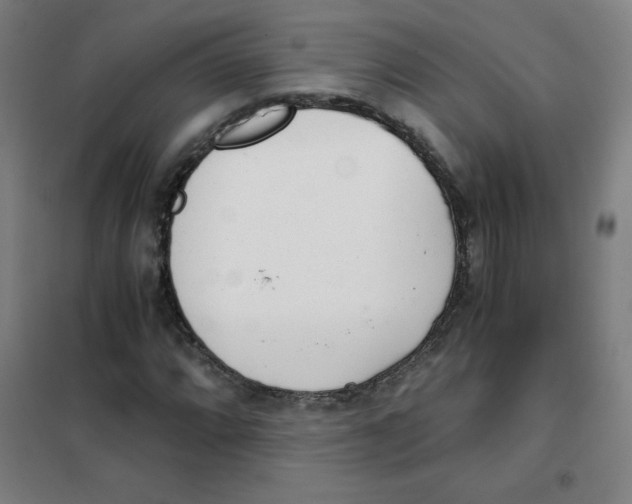 X0000101391064200808041012