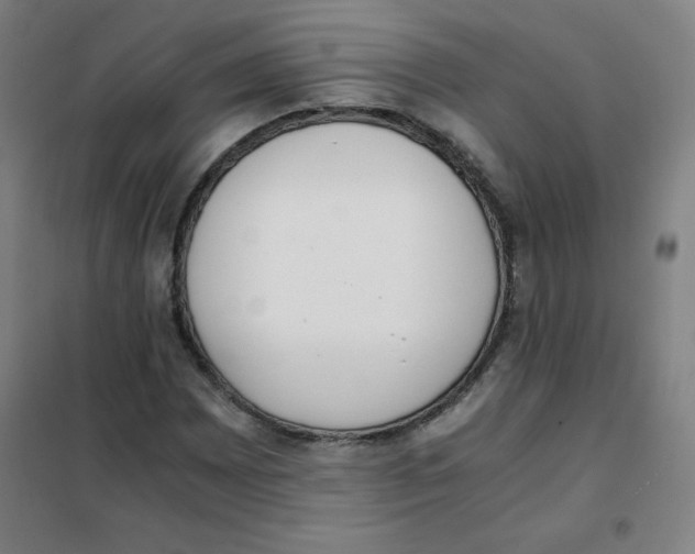 X0000101391065200808041012