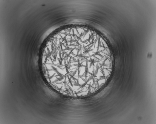 X0000101391066200808041012