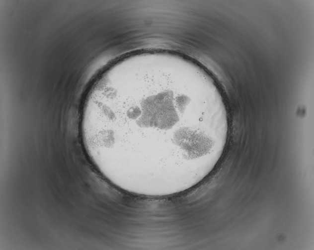 X0000101391067200808041012