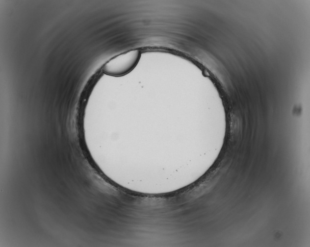 X0000101391068200808041012