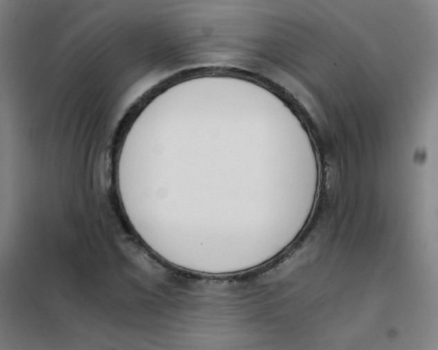 X0000101391069200808041012