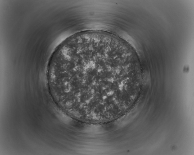 X0000101391071200808041012