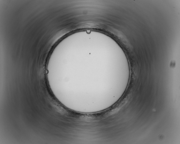 X0000101391073200808041012