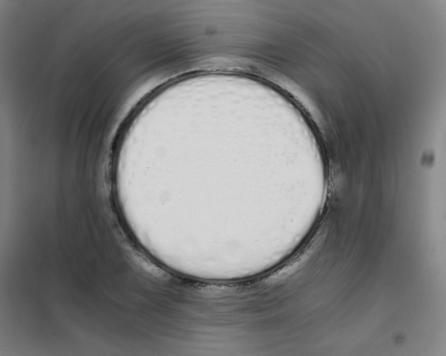 X0000101391075200808041012