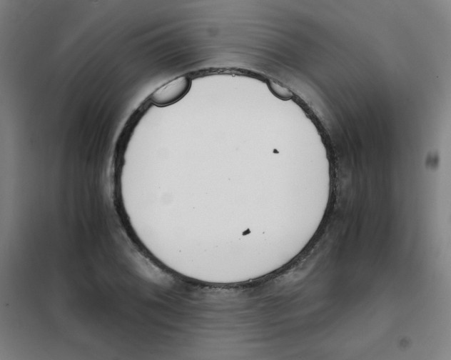 X0000101391076200808041011