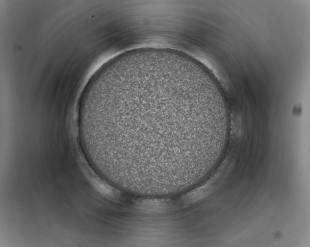 X0000101391078200808041011