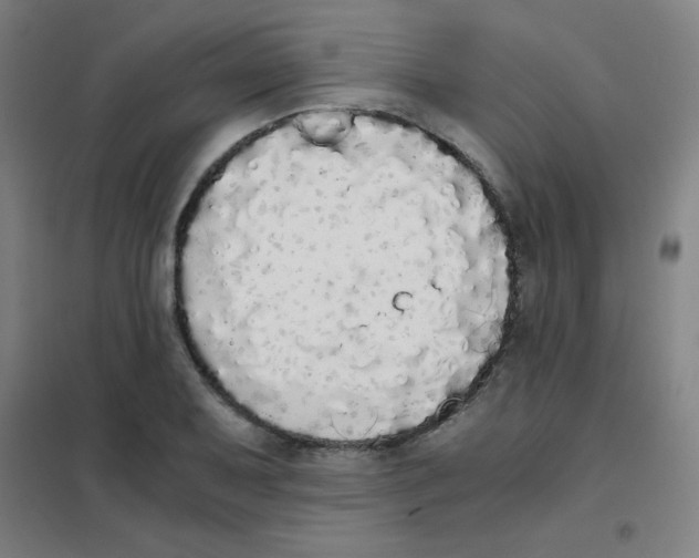 X0000101391079200808041011
