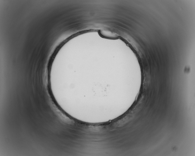 X0000101391080200808041011