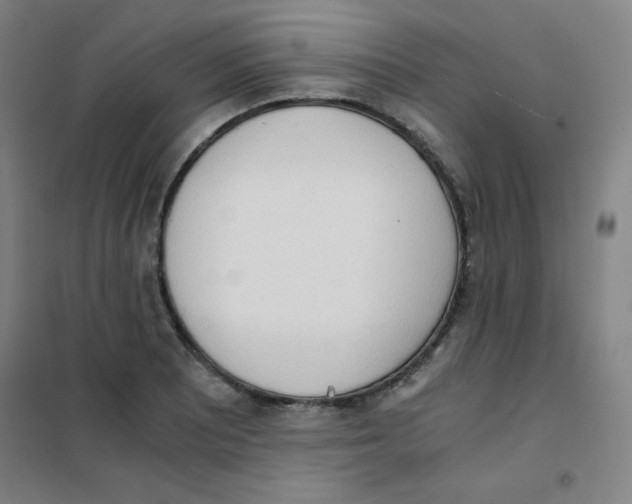 X0000101391081200808041011