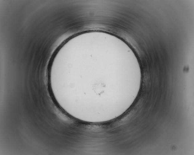 X0000101391082200808041011