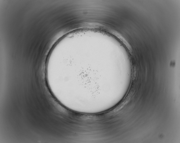 X0000101391083200808041011