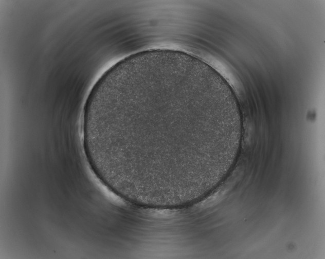 X0000101391084200808041011