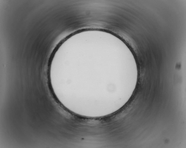 X0000101391085200808041011