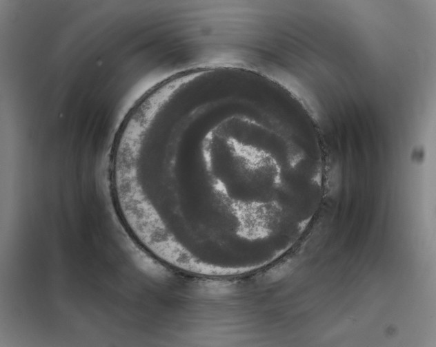 X0000101391086200808041011