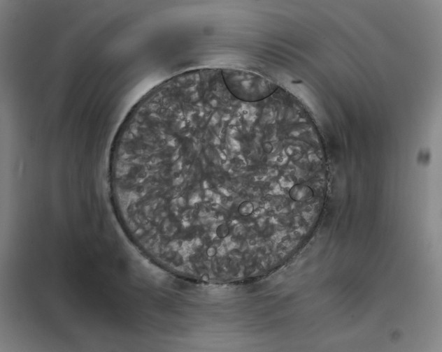 X0000101391087200808041011