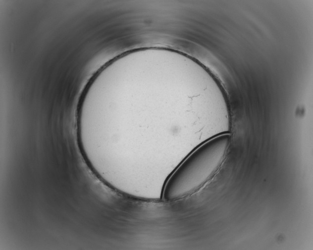 X0000101391088200808041011