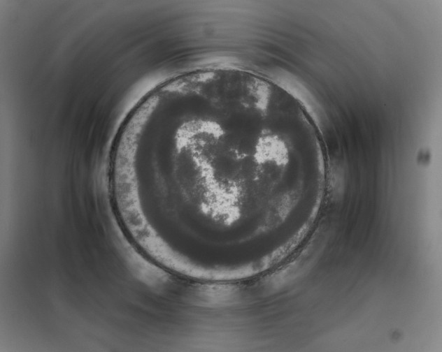X0000101391090200808041011