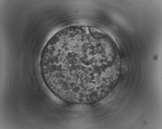 X0000101391091200808041011