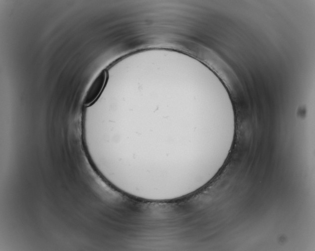 X0000101391092200808041011