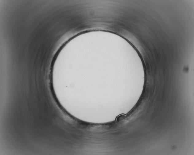X0000101391093200808041011