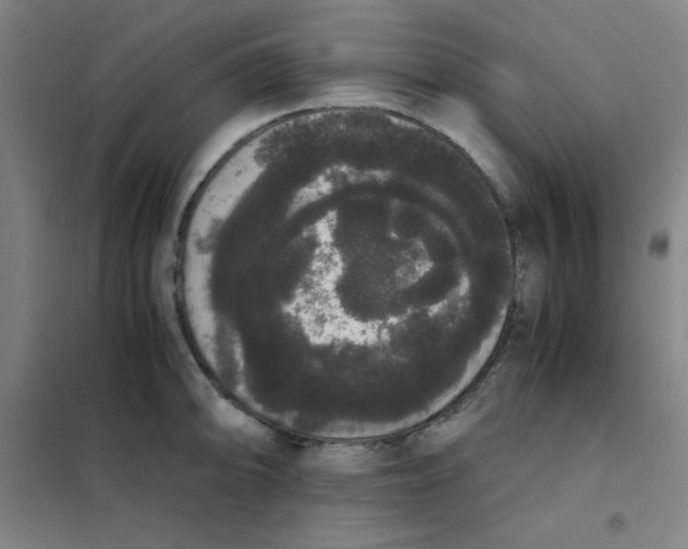 X0000101391094200808041011