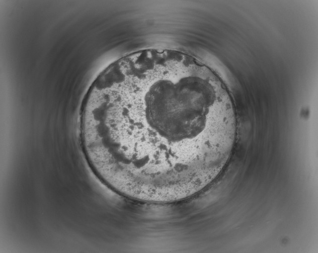 X0000101391095200808041011