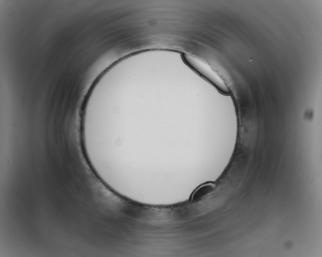 X0000101391096200808041011
