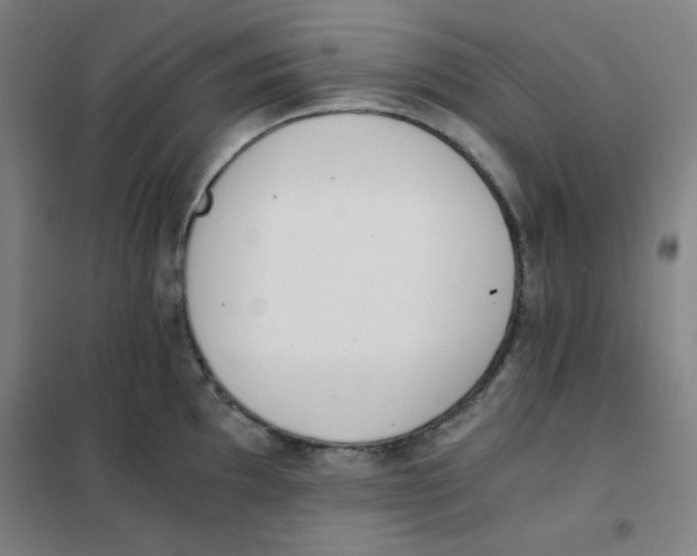 X0000101391097200808041011
