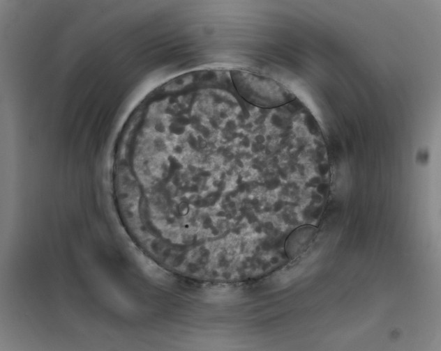X0000101391099200808041011