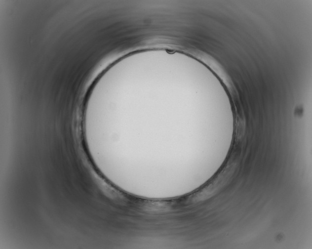 X0000101391101200808041011