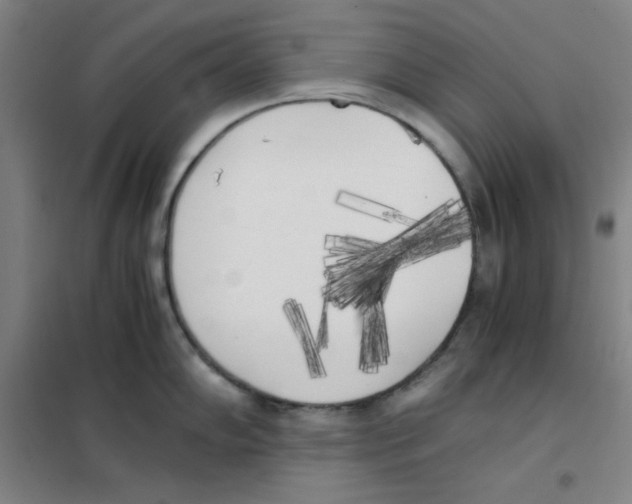 X0000101391102200808041011
