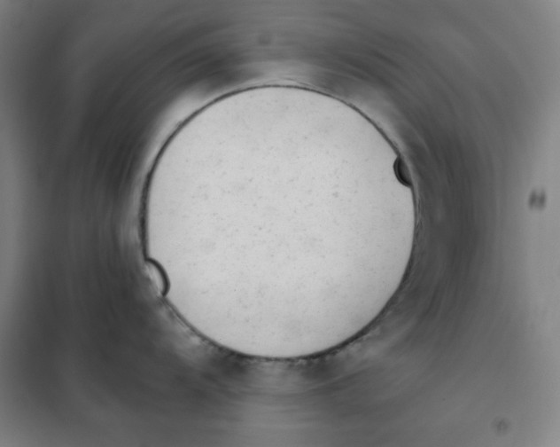 X0000101391104200808041011