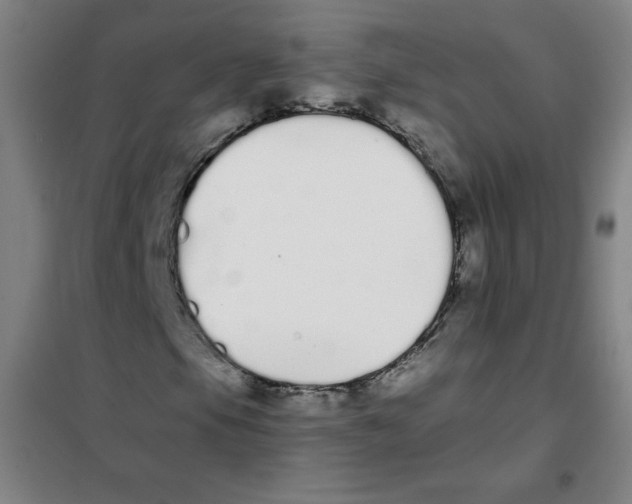 X0000101391105200808041010
