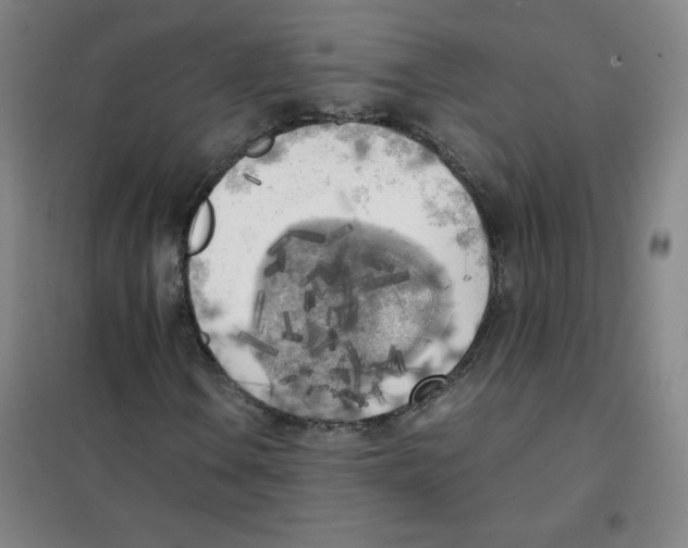 X0000101391106200808041010