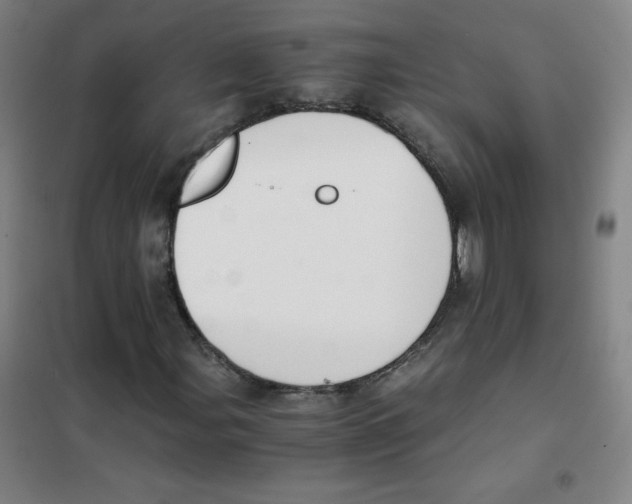 X0000101391107200808041010