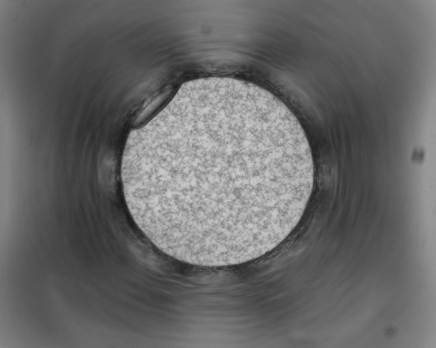 X0000101391108200808041010