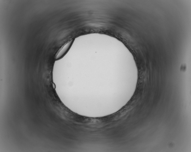 X0000101391109200808041011