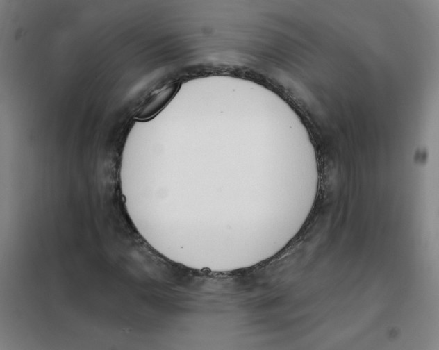 X0000101391110200808041011