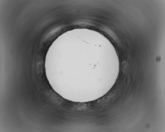 X0000101391111200808041011